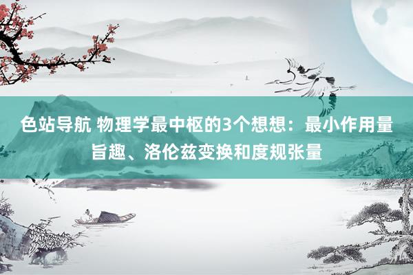 色站导航 物理学最中枢的3个想想：最小作用量旨趣、洛伦兹变换和度规张量