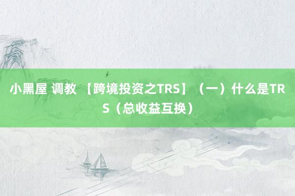 小黑屋 调教 【跨境投资之TRS】（一）什么是TRS（总收益互换）