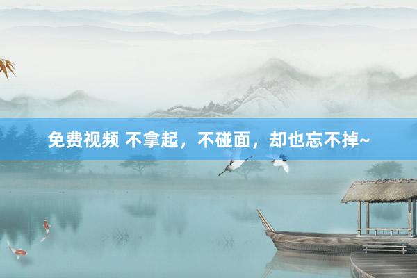 免费视频 不拿起，不碰面，却也忘不掉~
