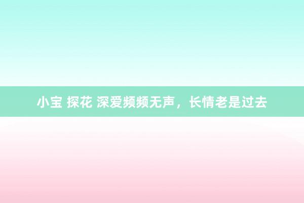 小宝 探花 深爱频频无声，长情老是过去