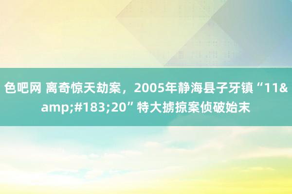 色吧网 离奇惊天劫案，2005年静海县子牙镇“11&#183;20”特大掳掠案侦破始末