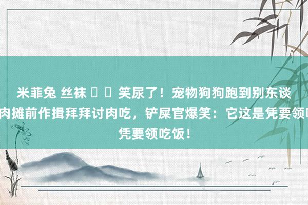 米菲兔 丝袜 ▶️笑尿了！宠物狗狗跑到别东谈主的肉摊前作揖拜拜讨肉吃，铲屎官爆笑：它这是凭要领吃饭！
