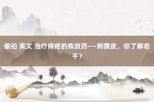 偷拍 英文 治疗痔疮的殊效药——刺猬皮，你了解若干？